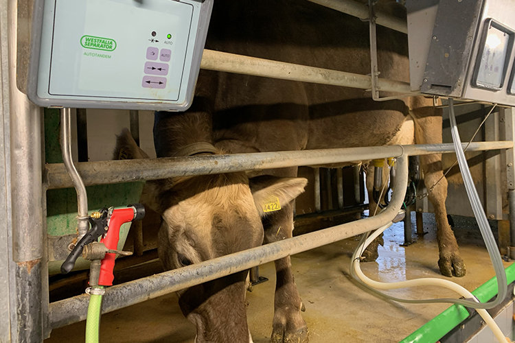 Streustrommessung im Stall, Streustrommessungen Landwirtschaft